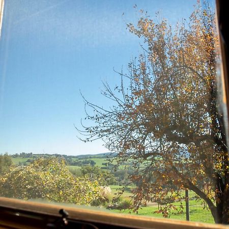 Vivere Retreat Neerim South Екстериор снимка